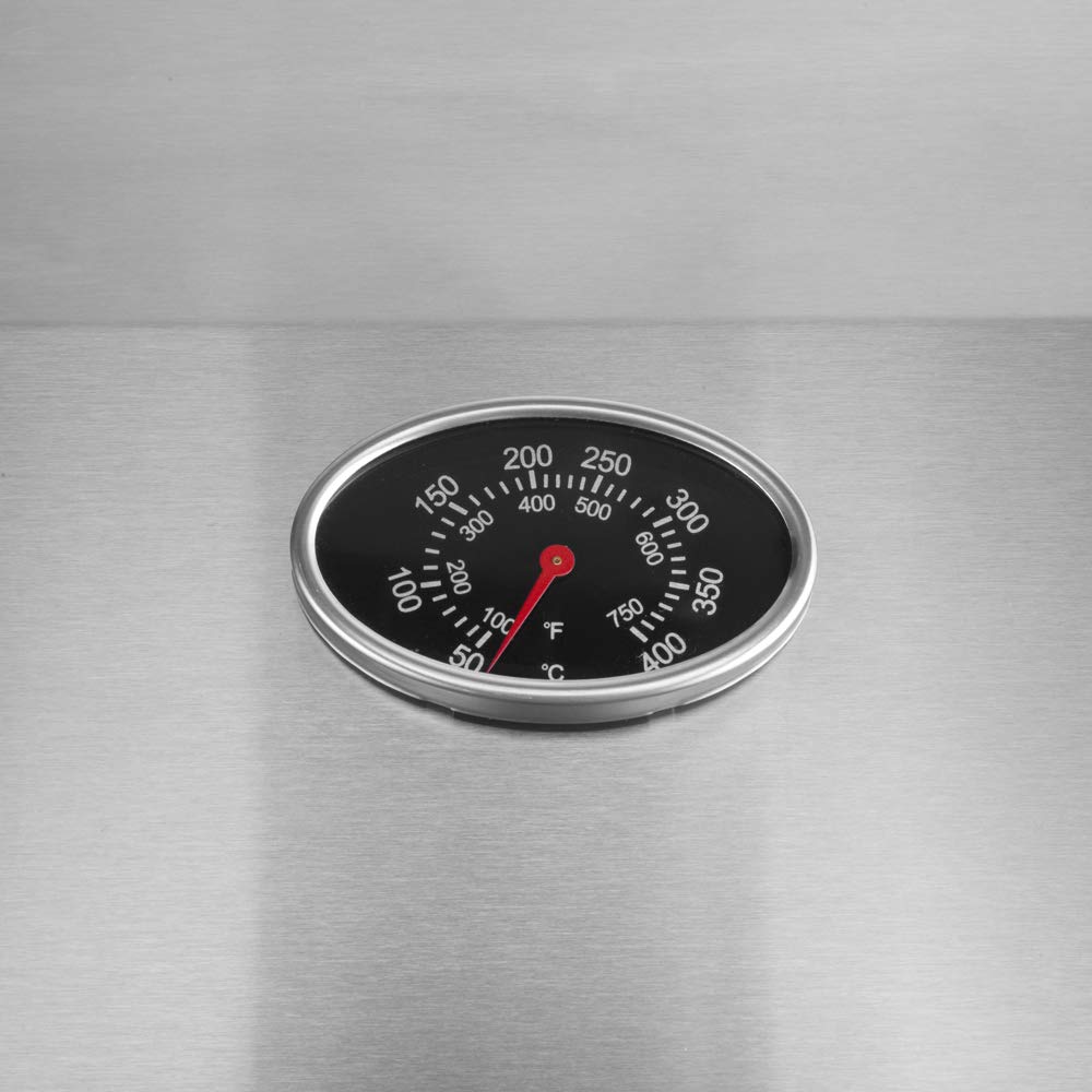 ROVSUN 2-Burner 20,000 BTU Portable Propane Grill Tabletop