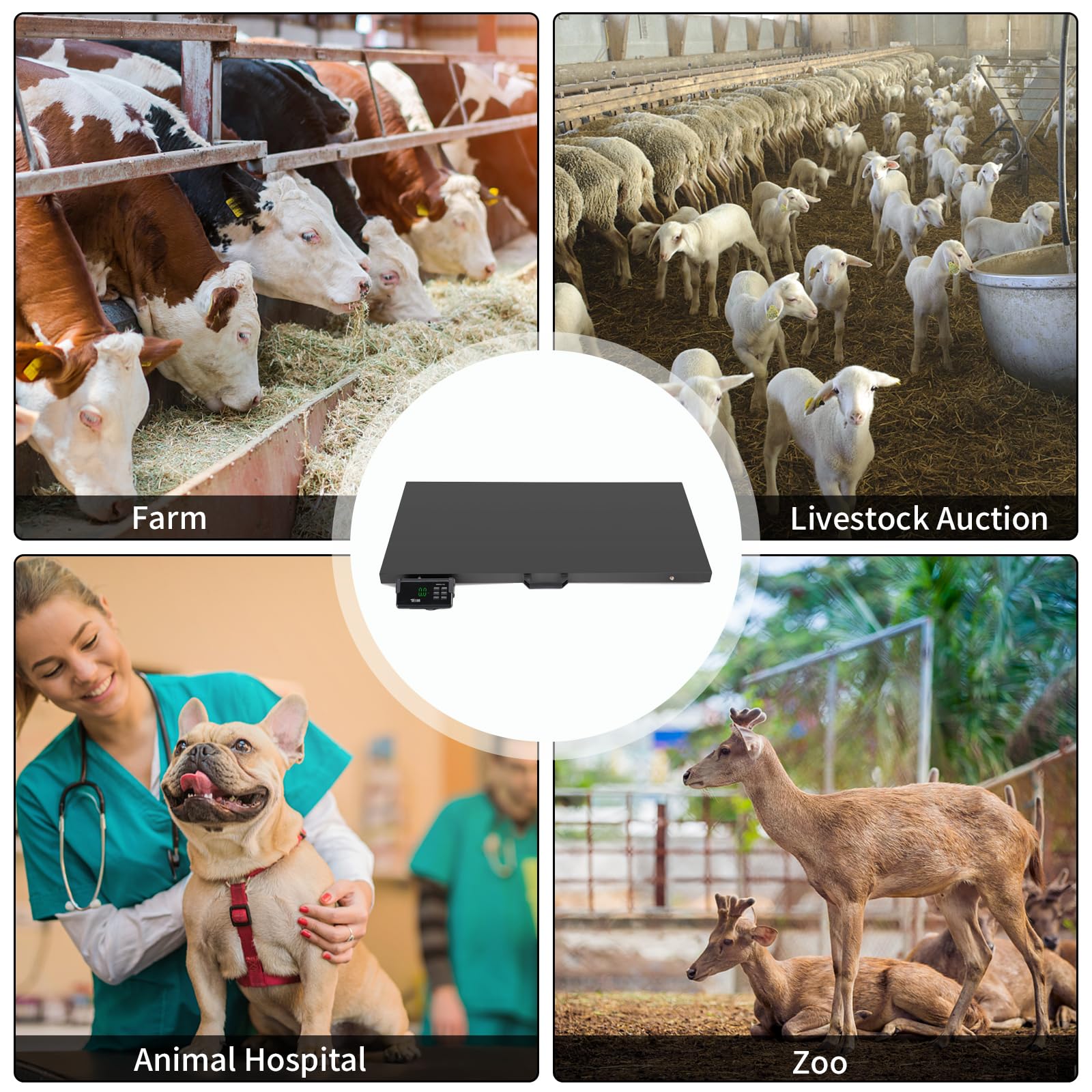 1100 LBS x 0.2 LBS Livestock Scale Electronic Platform Scale for Dog Goat Sheep Black